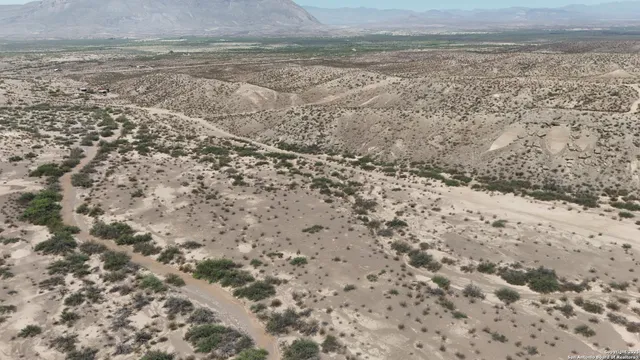 a view of a dry yard with wooden floor