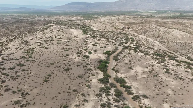 a view of a dry yard with wooden floor