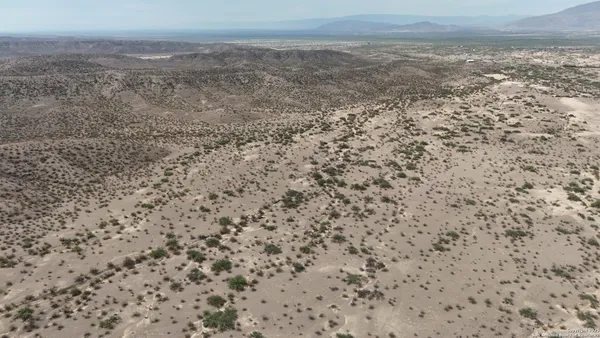 a view of a dry yard with wooden floor