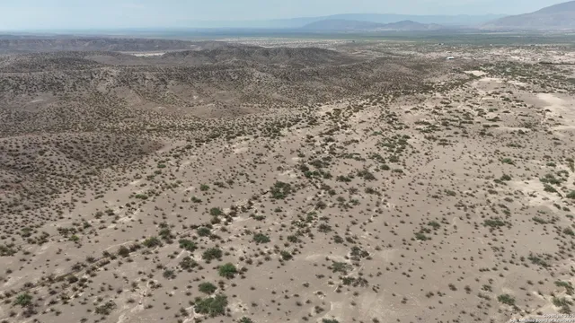 a view of a dry yard with wooden floor