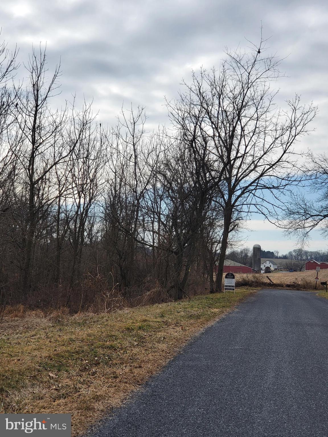 0 Pine Road Mohrsville, PA 19541 - Photo 13 of 14