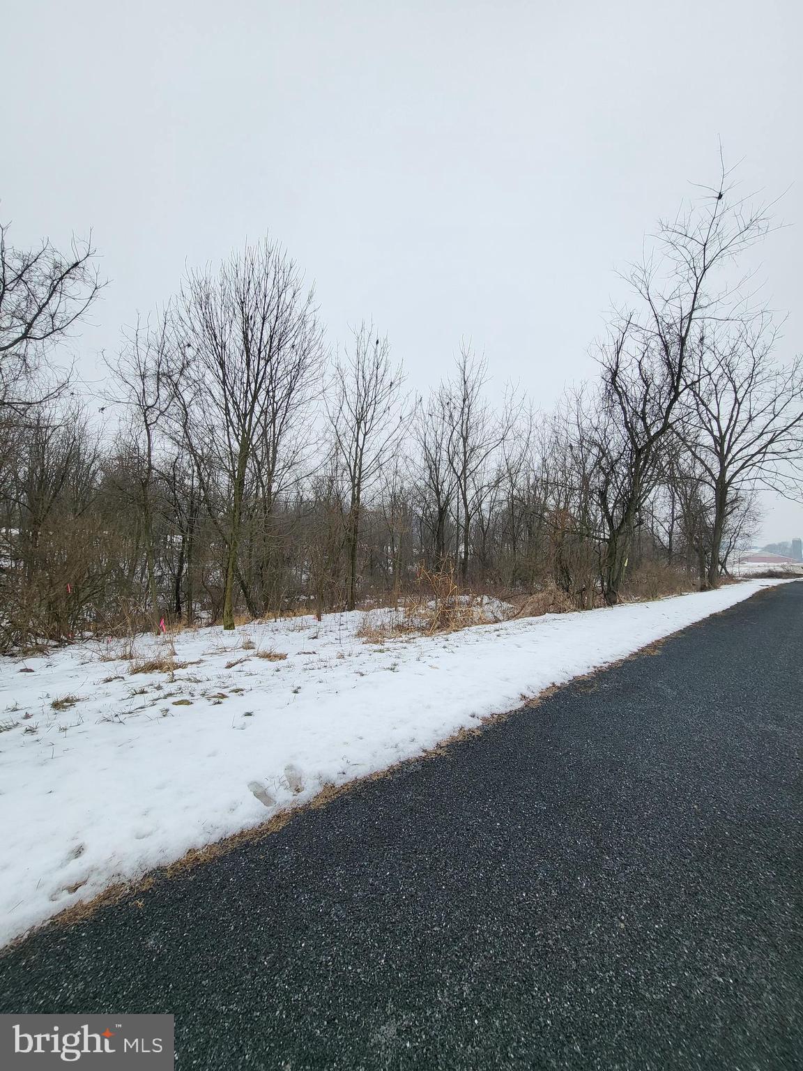 0 Pine Road Mohrsville, PA 19541 - Photo 2 of 14