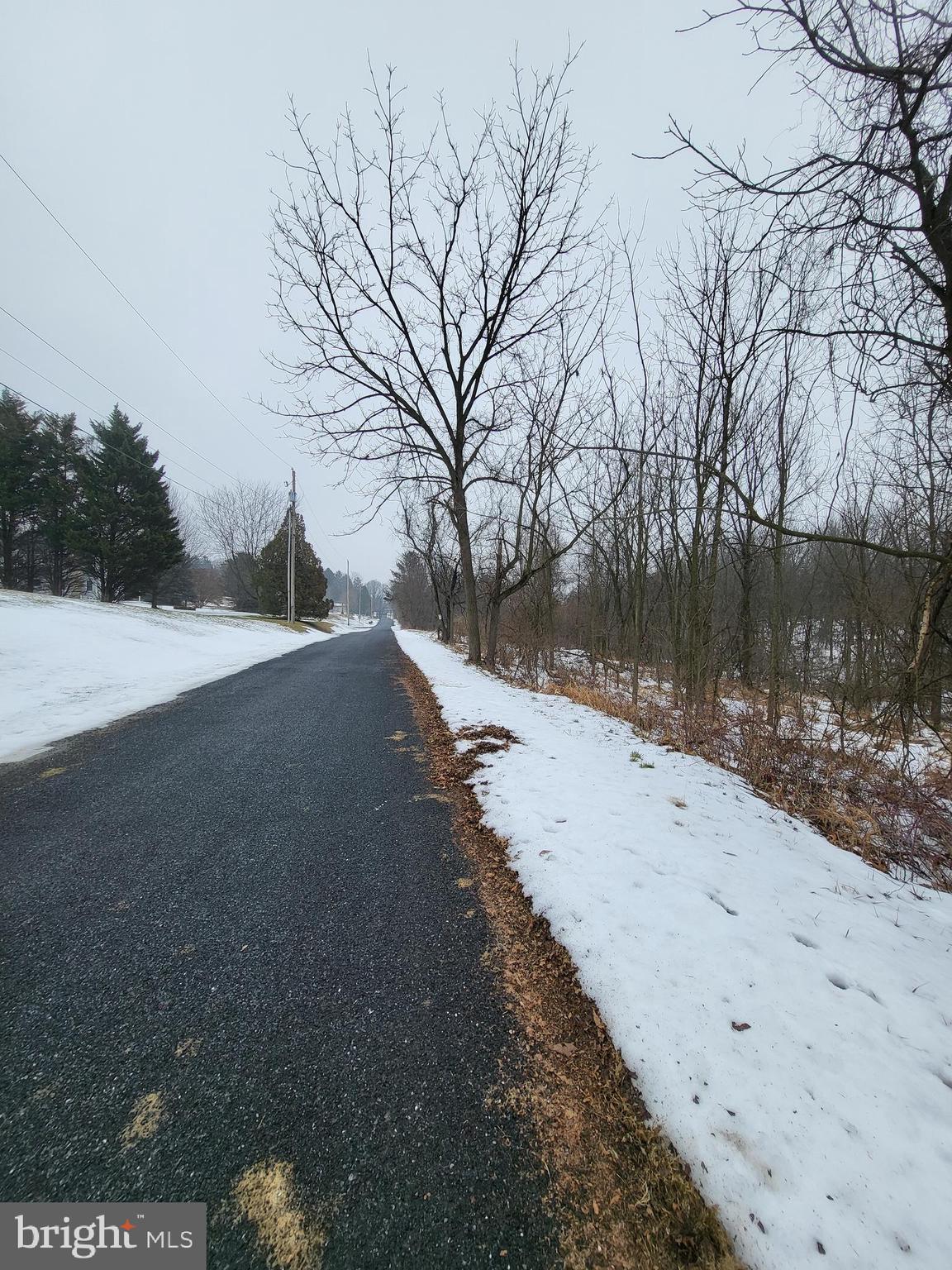 0 Pine Road Mohrsville, PA 19541 - Photo 3 of 14
