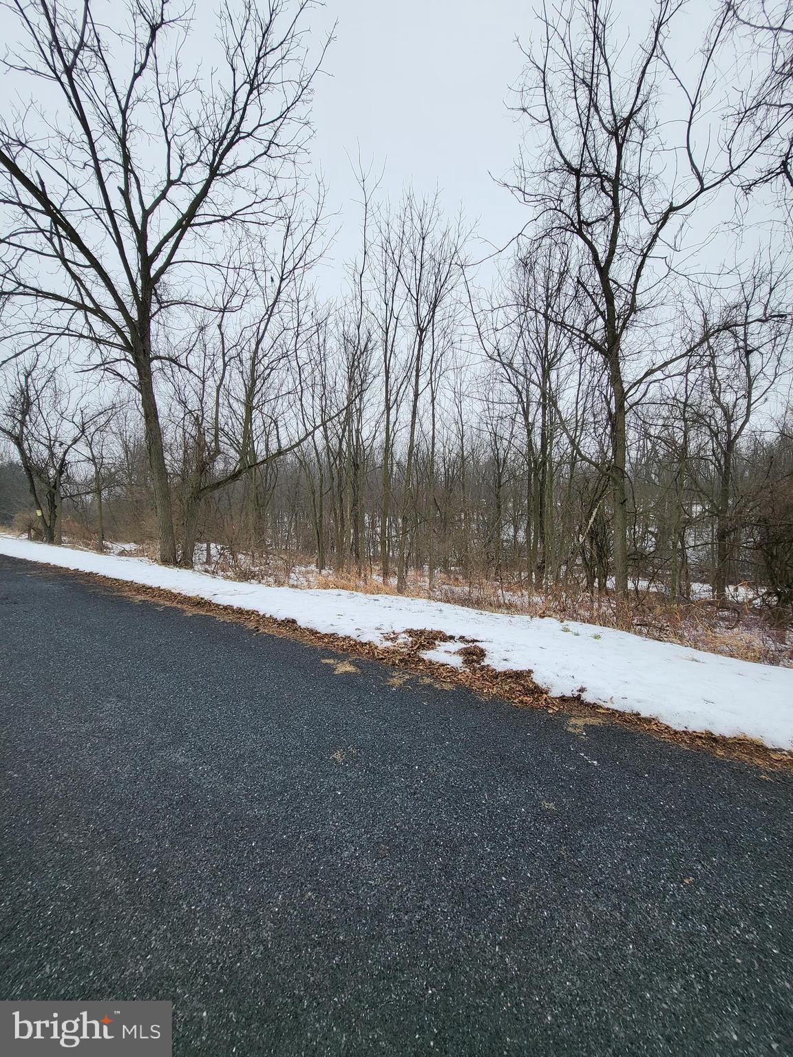 0 Pine Road Mohrsville, PA 19541 - Photo 5 of 14