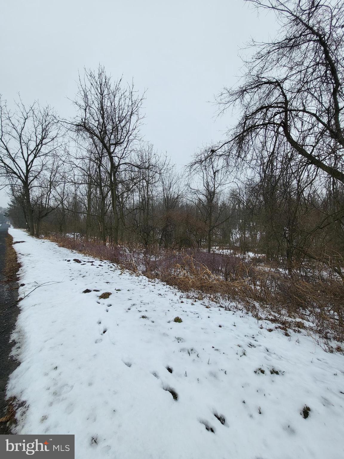 0 Pine Road Mohrsville, PA 19541 - Photo 6 of 14