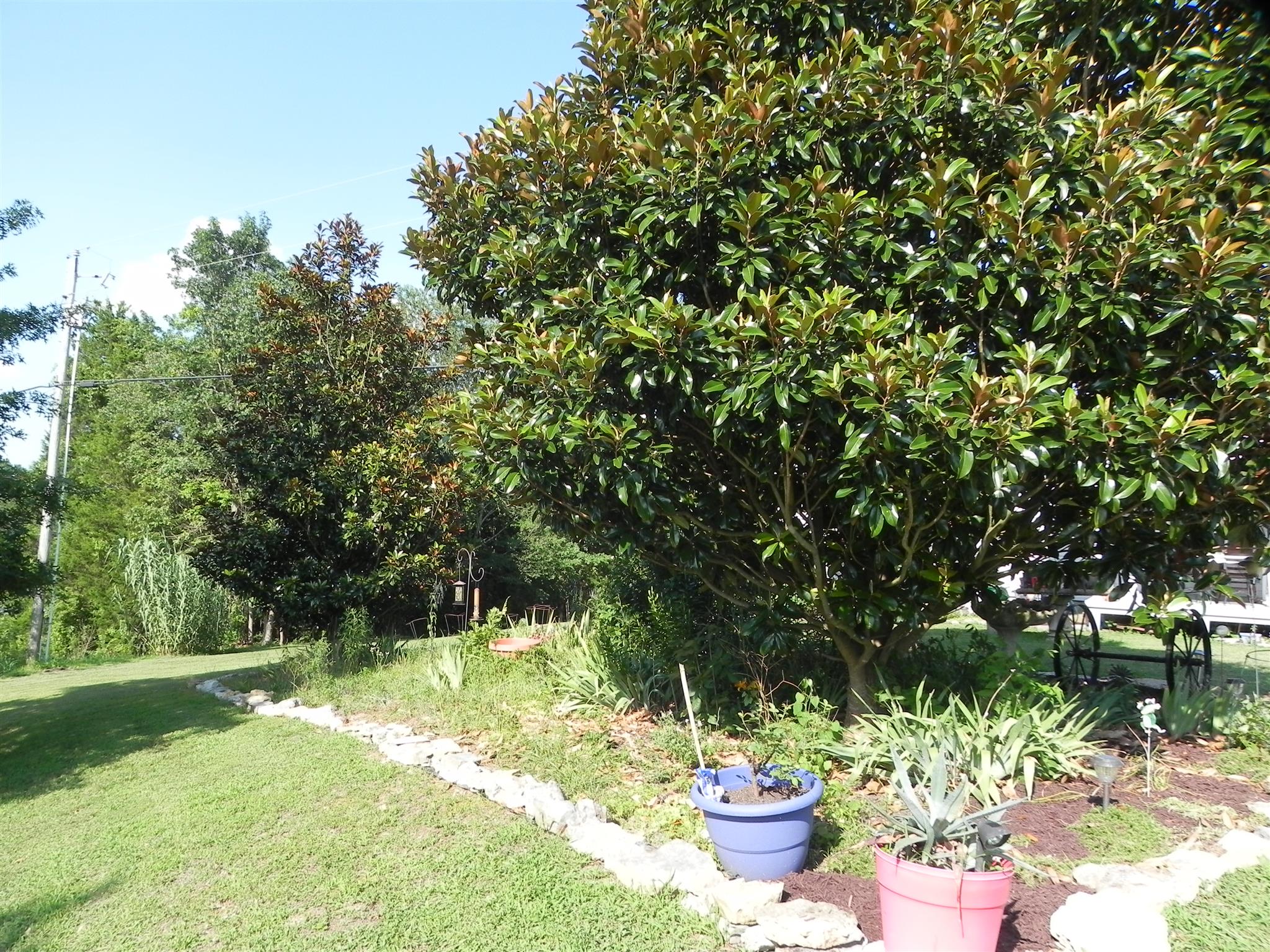 4675 Beasleys Bend Road Lebanon, TN 37087 - Photo 3 of 22 a view of a garden with a fountain