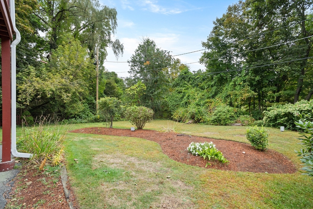 16 Middlesex Street, Unit 4 Chelmsford, MA 01863 - Photo 2 of 25 a view of a yard with a tree