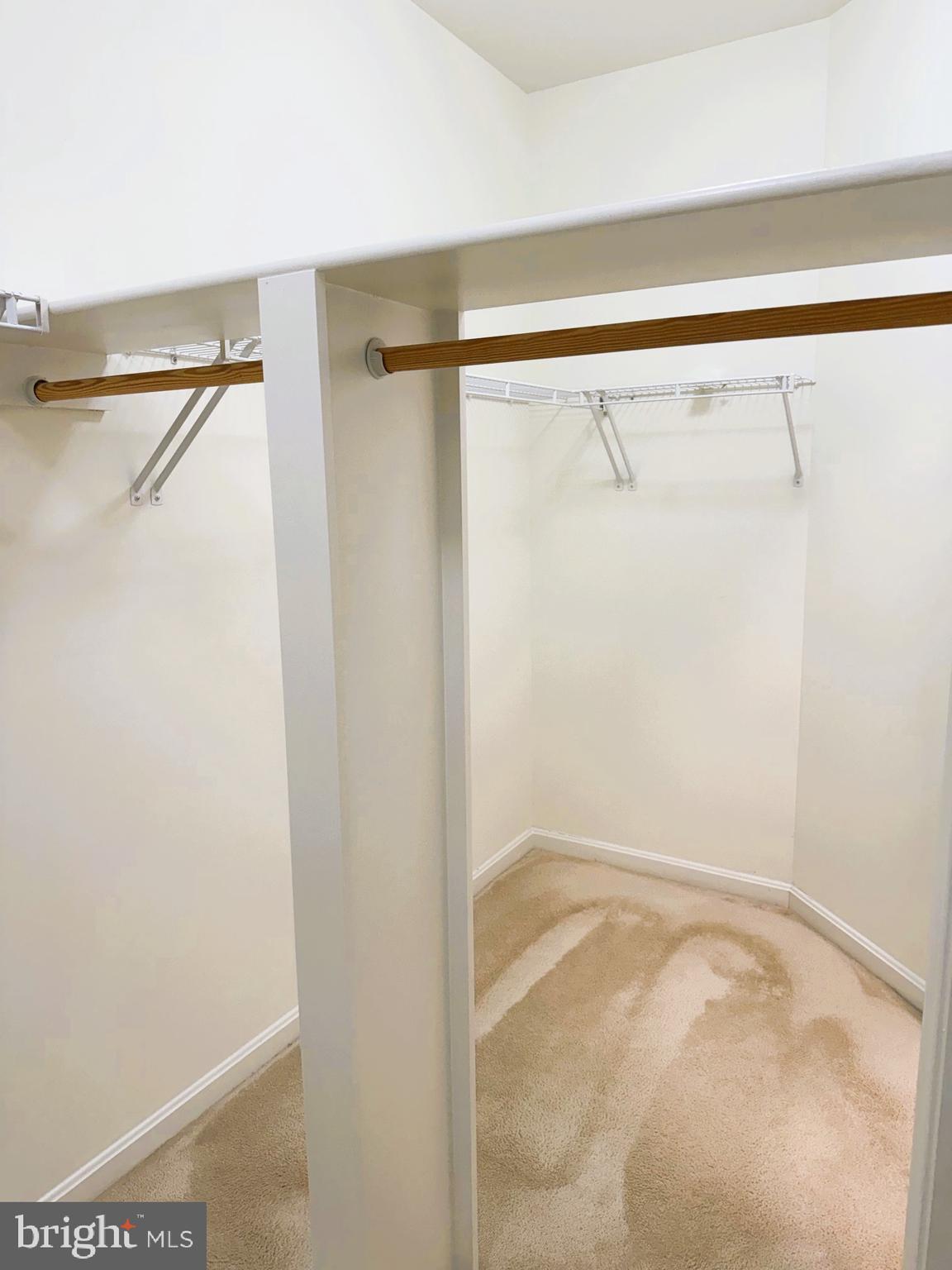 4330 L Cannon Ridge Court, Unit 31 Fairfax, VA 22033 - Photo 23 of 32 huge double door walk in - Primary