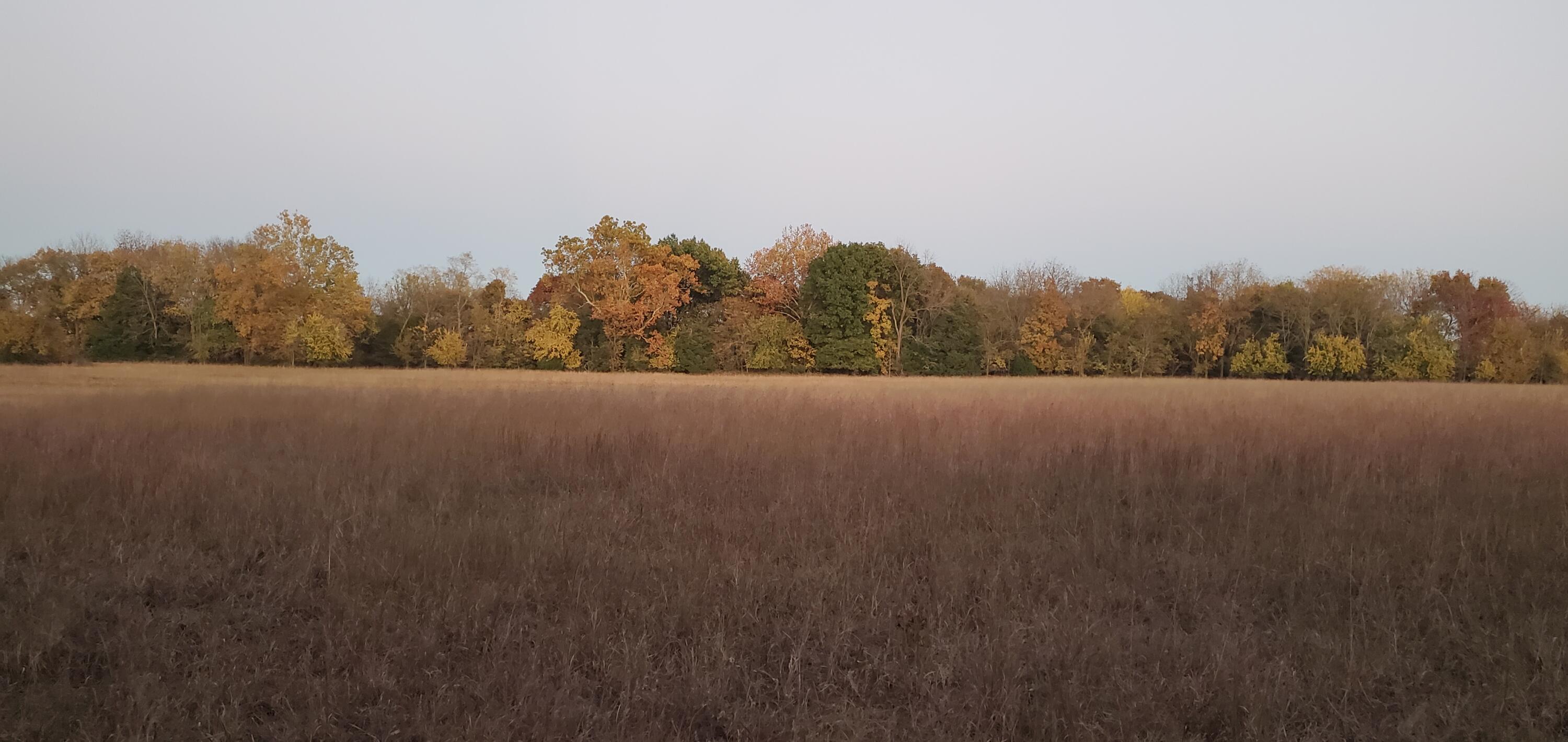 4775 South 50th Road Aldrich, MO 65601 - Photo 276 of 306 20241023_183942
