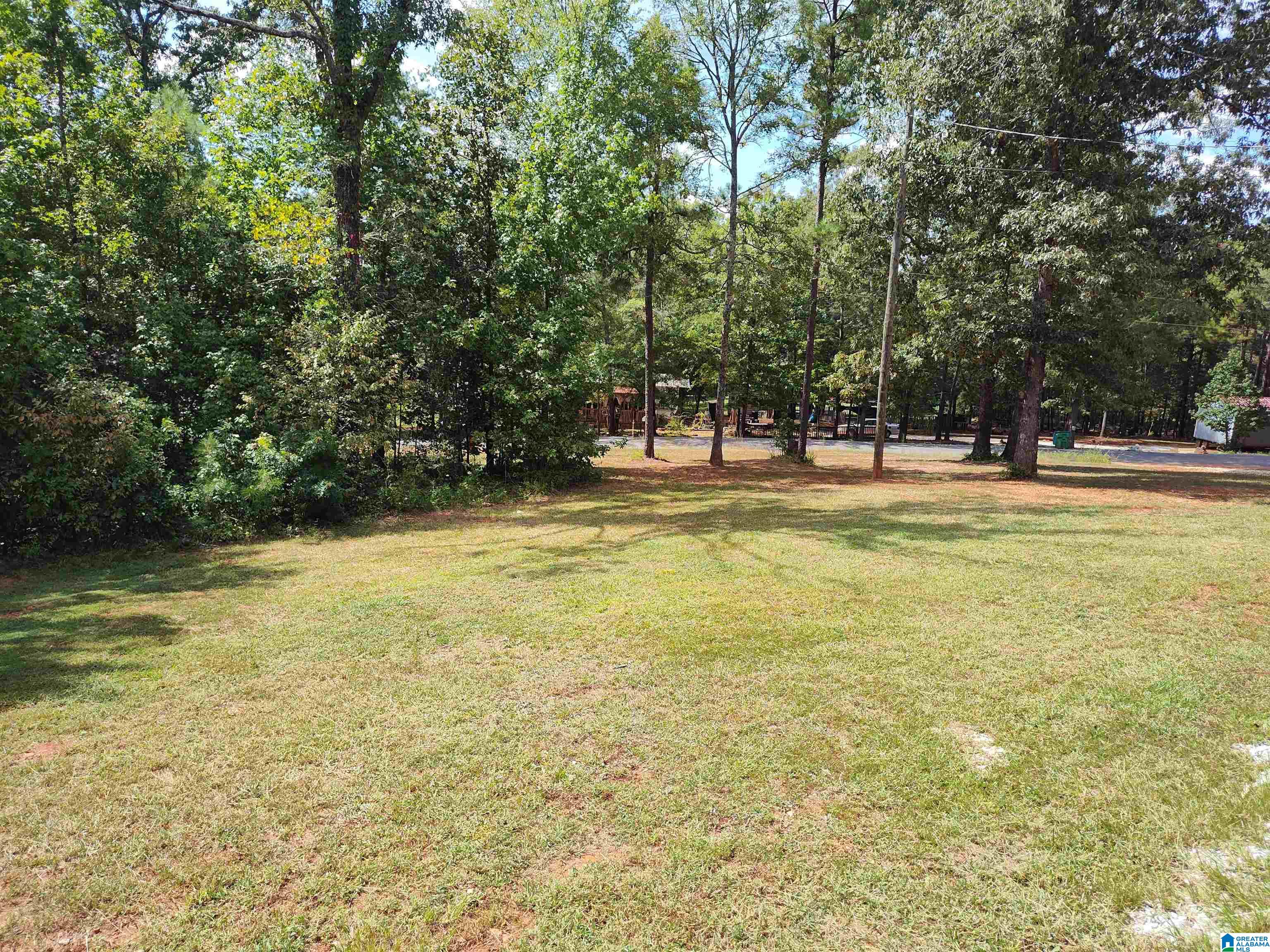 1425 Heasletts Road Childersburg, AL 35044 - Photo 5 of 28