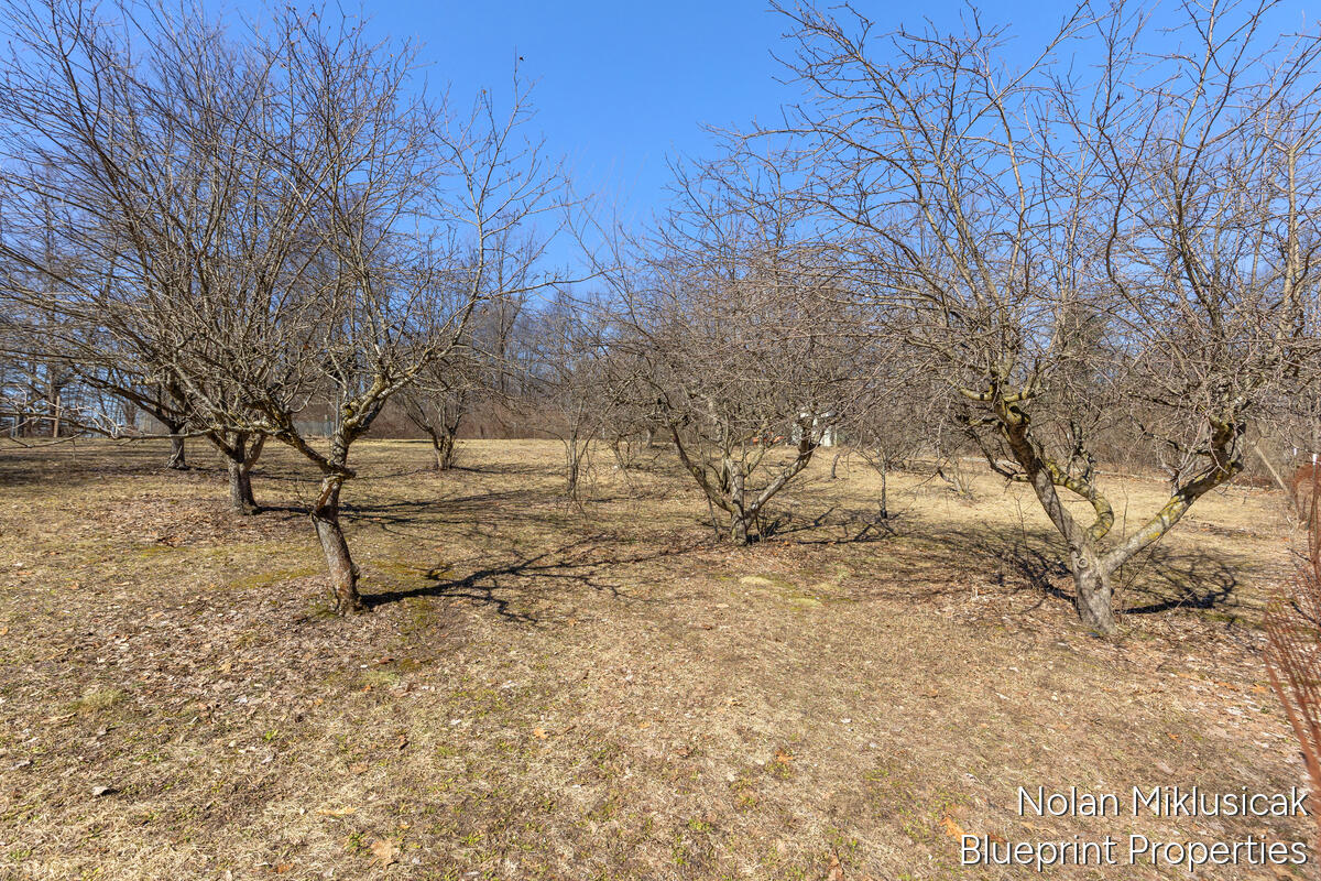 15342 West Almy Road Howard City, MI 49329 - Photo 57 of 82 15342-West-Almy_049