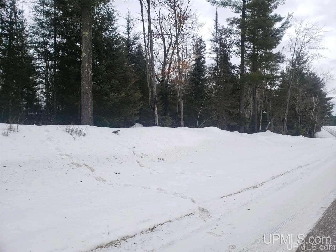 Tbd Tbd Leeman Road Felch, MI 49831 - Photo 8 of 8