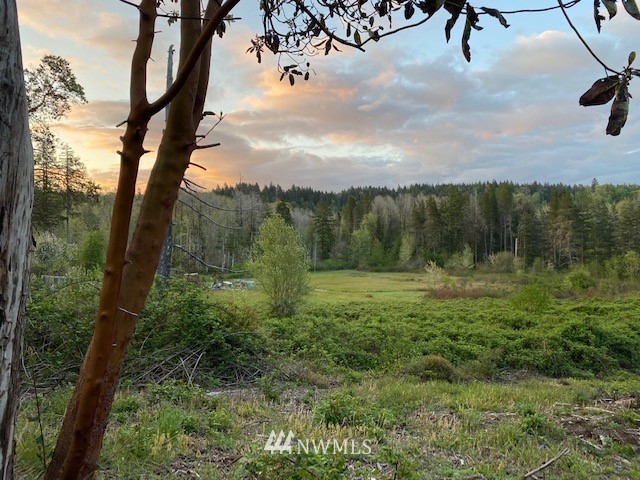 18709 Erickson Road Southwest Longbranch, WA 98349 - Photo 1 of 9