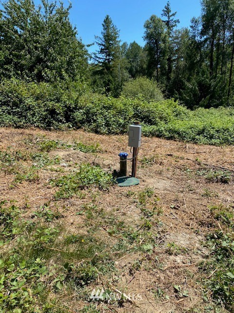 18709 Erickson Road Southwest Longbranch, WA 98349 - Photo 8 of 9