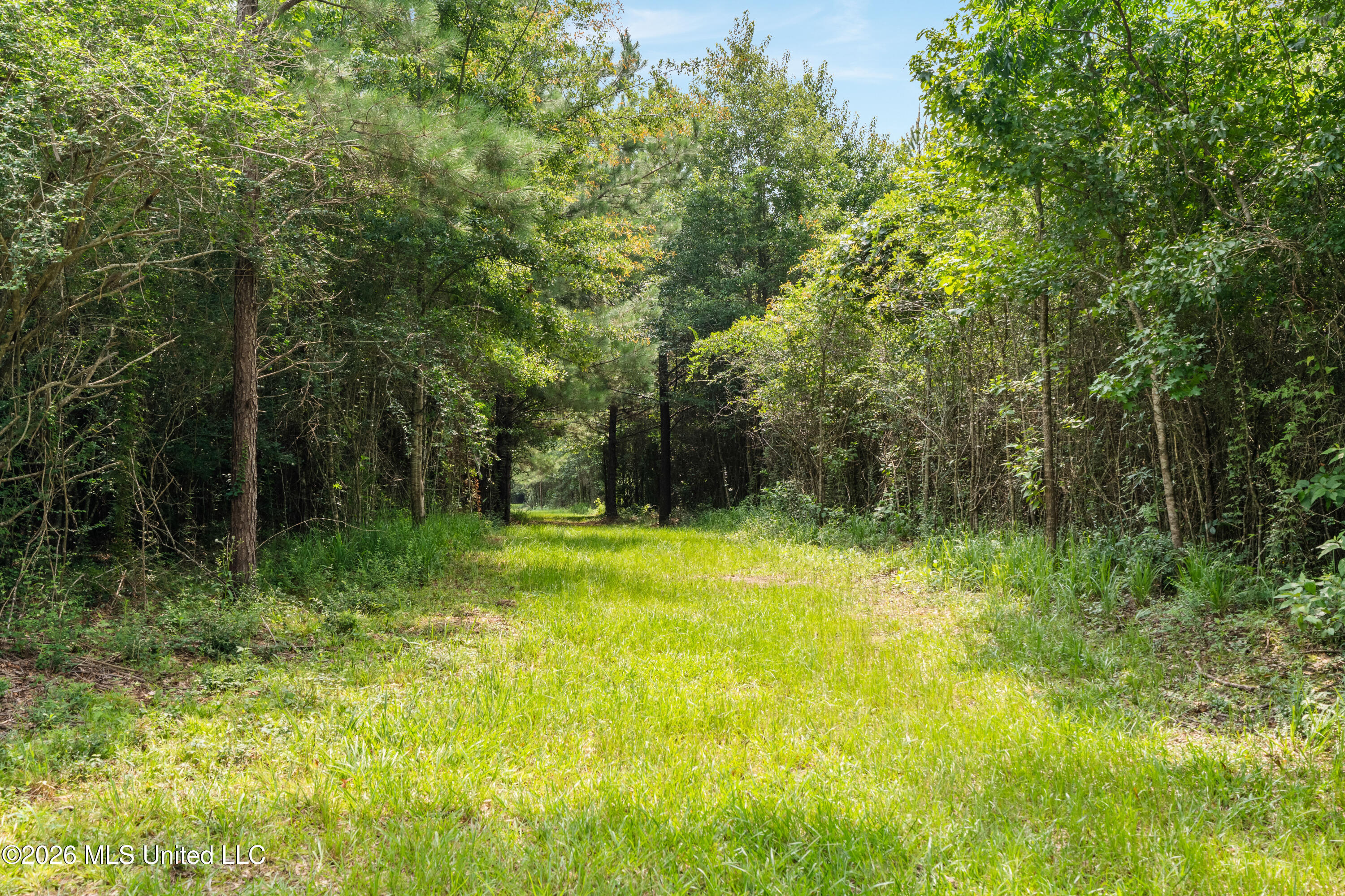 232 Knoxo Columbia Road Tylertown, MS 39667 - Photo 75 of 120 232_Knoxo_Columbia_Rd-75