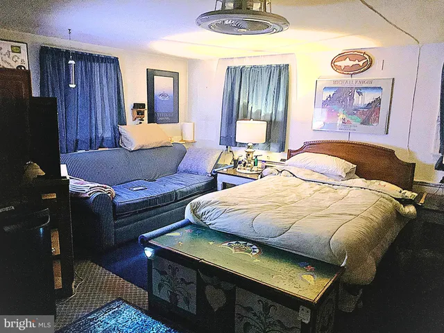 a view of a yard with a large trees