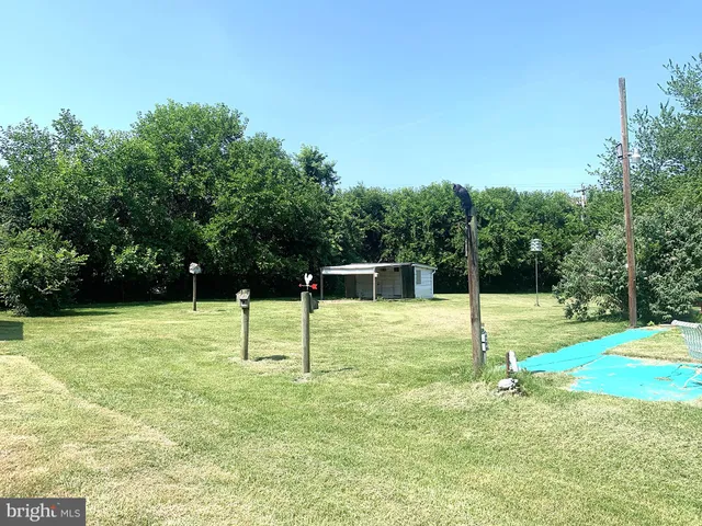 a swimming pool with lots of tress in front of it