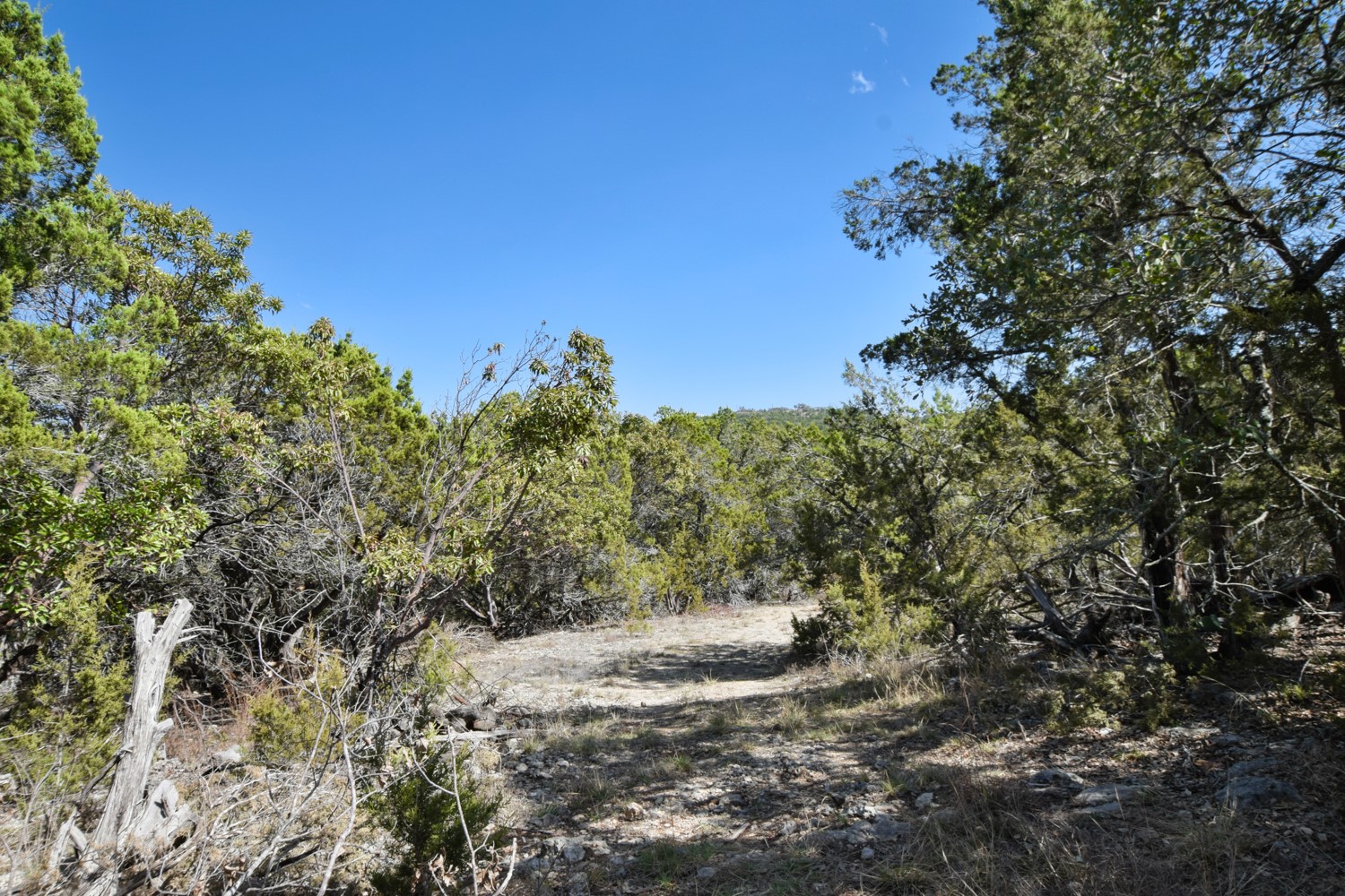 370 B Kothmann Road Dripping Springs, TX 78620 - Photo 14 of 31