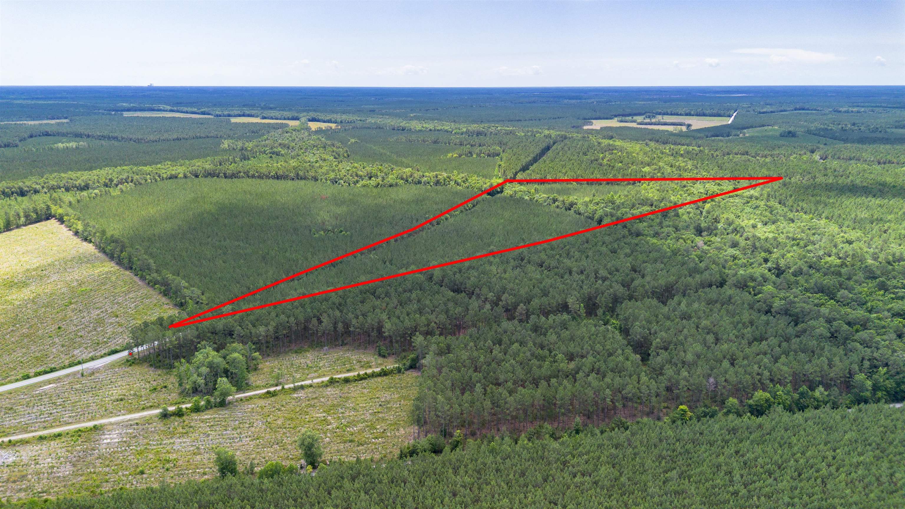 Ten 10 Acre Road Andrews, SC 29510 - Photo 4 of 15