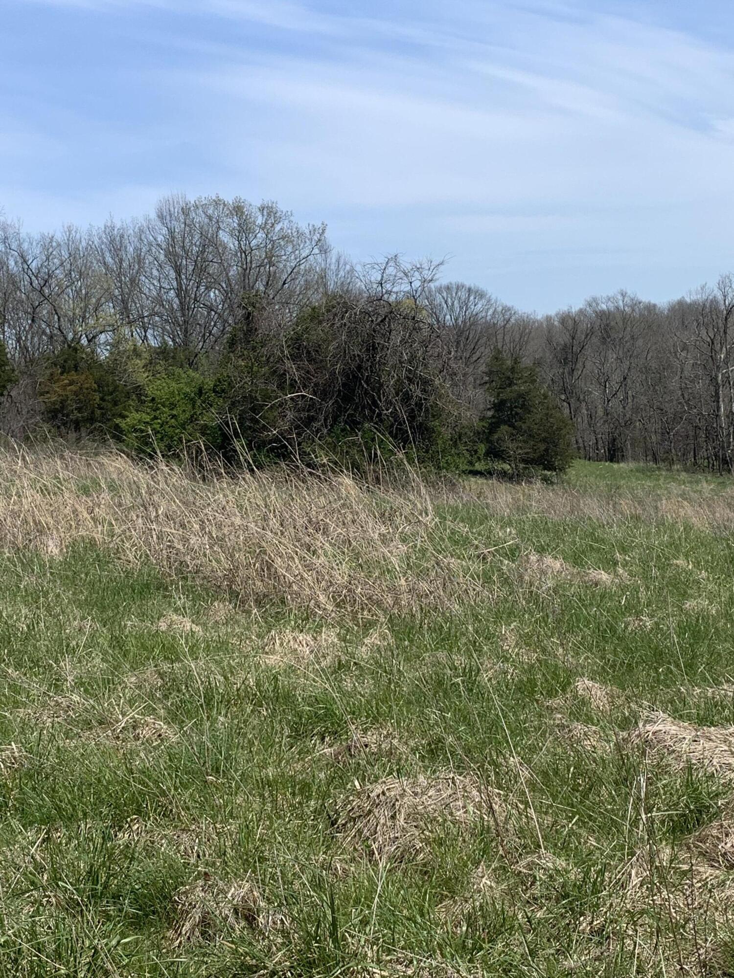 1000 Britton Road Harrodsburg, KY 40330 - Photo 58 of 88 8094CC2F-20B5-400B-9651-DE536E8DE920