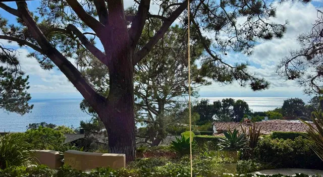a view of a street with a tree