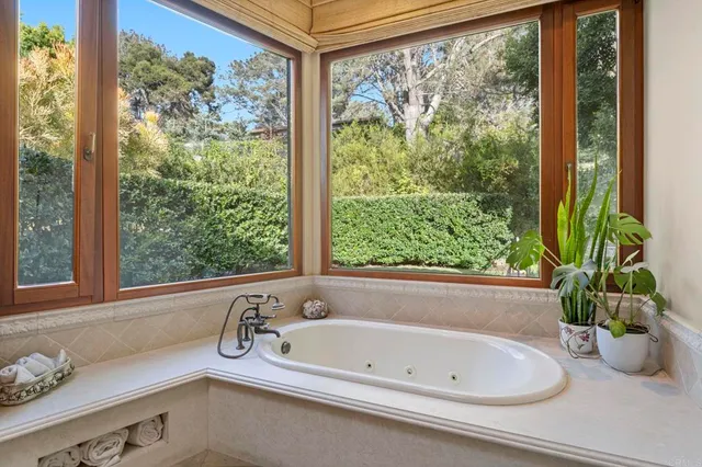 a view of a garden with pathway