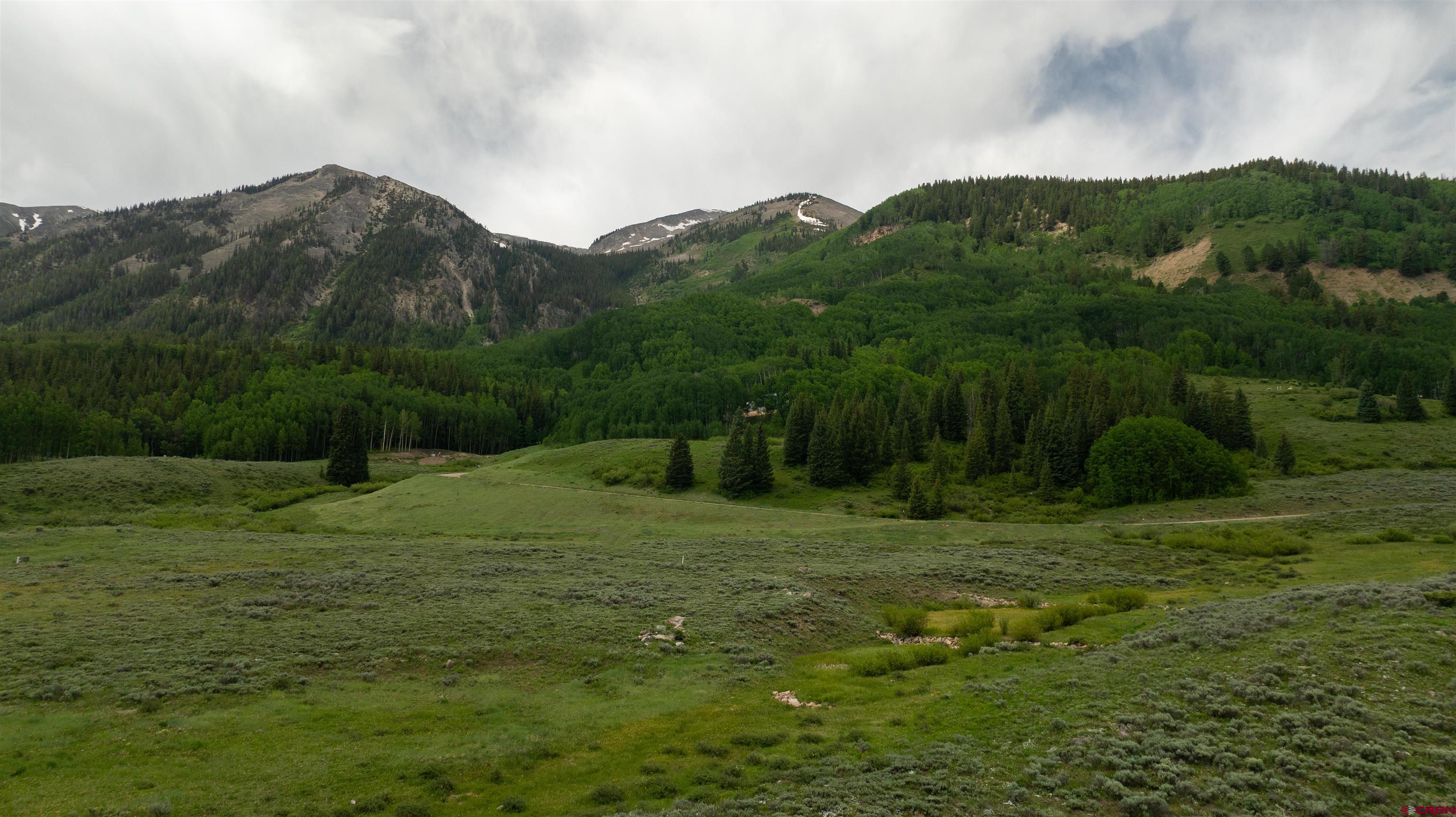 Tbd Tbd Hidden Mine Ranch Road Crested Butte, CO 81224 - Photo 18 of 19 a big field with lots of trees in the background
