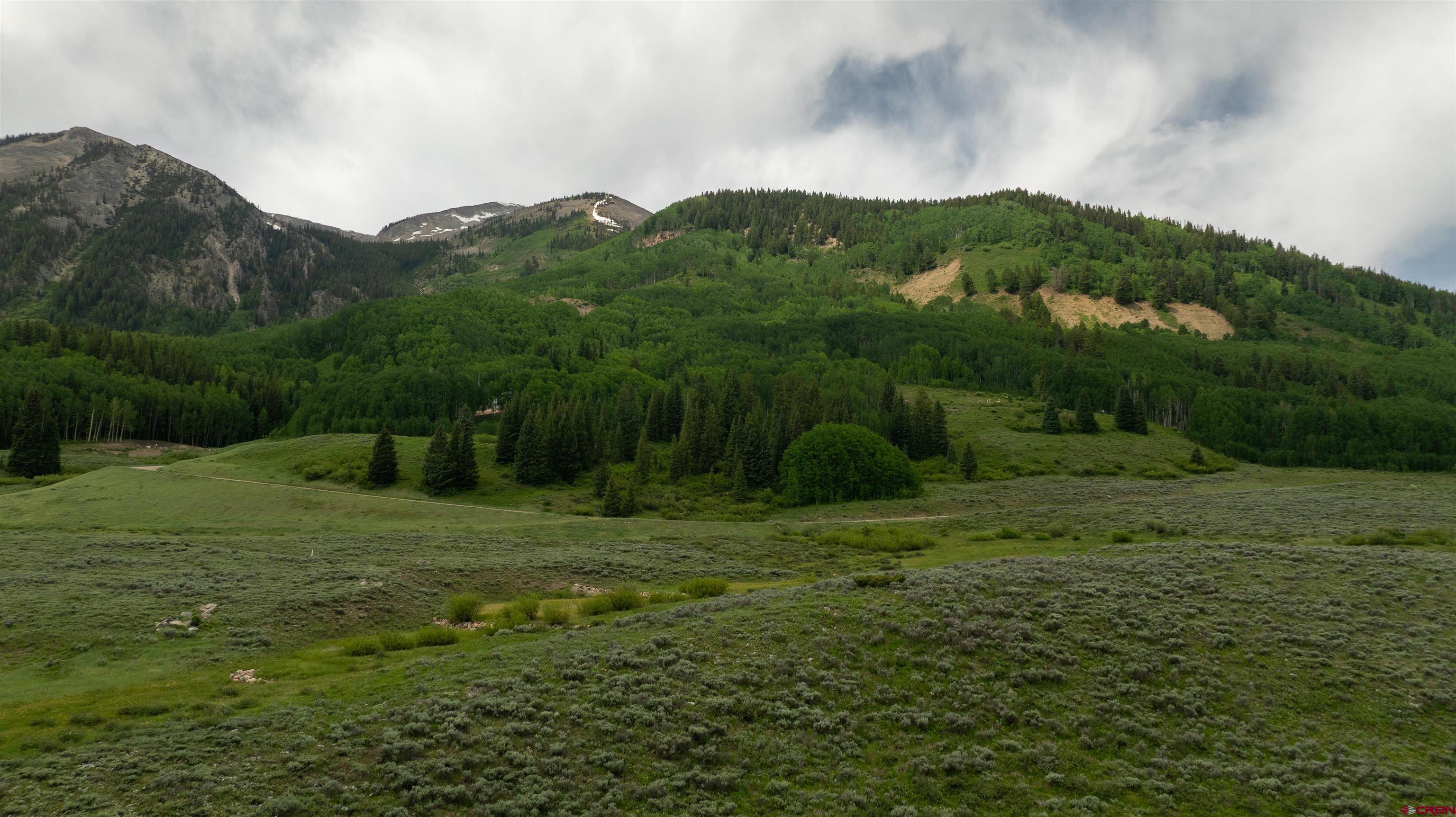 Tbd Tbd Hidden Mine Ranch Road Crested Butte, CO 81224 - Photo 10 of 19 a view of a big yard