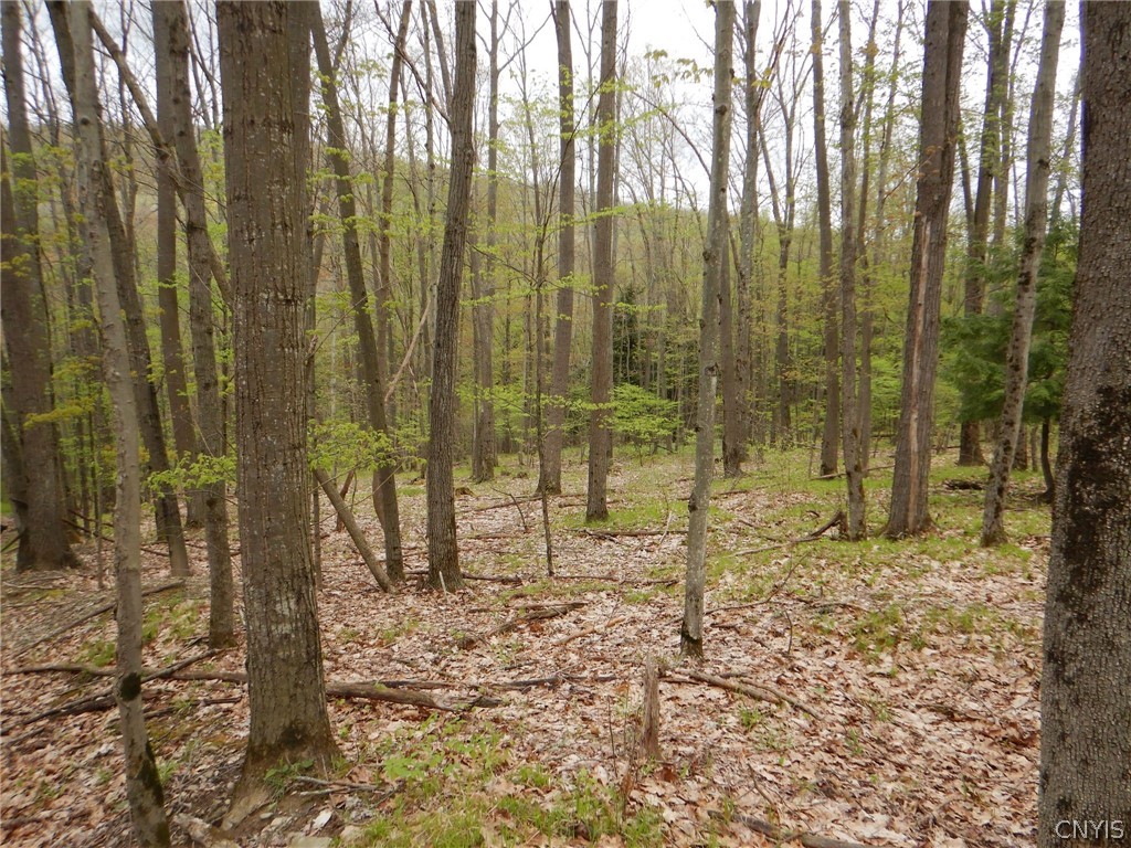 Wightman Road Wellsville, NY 14895 - Photo 33 of 45