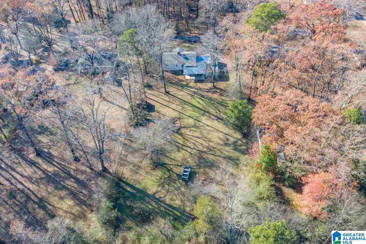 217 Drew Avenue Mulga, AL 35118 - Photo 41 of 45