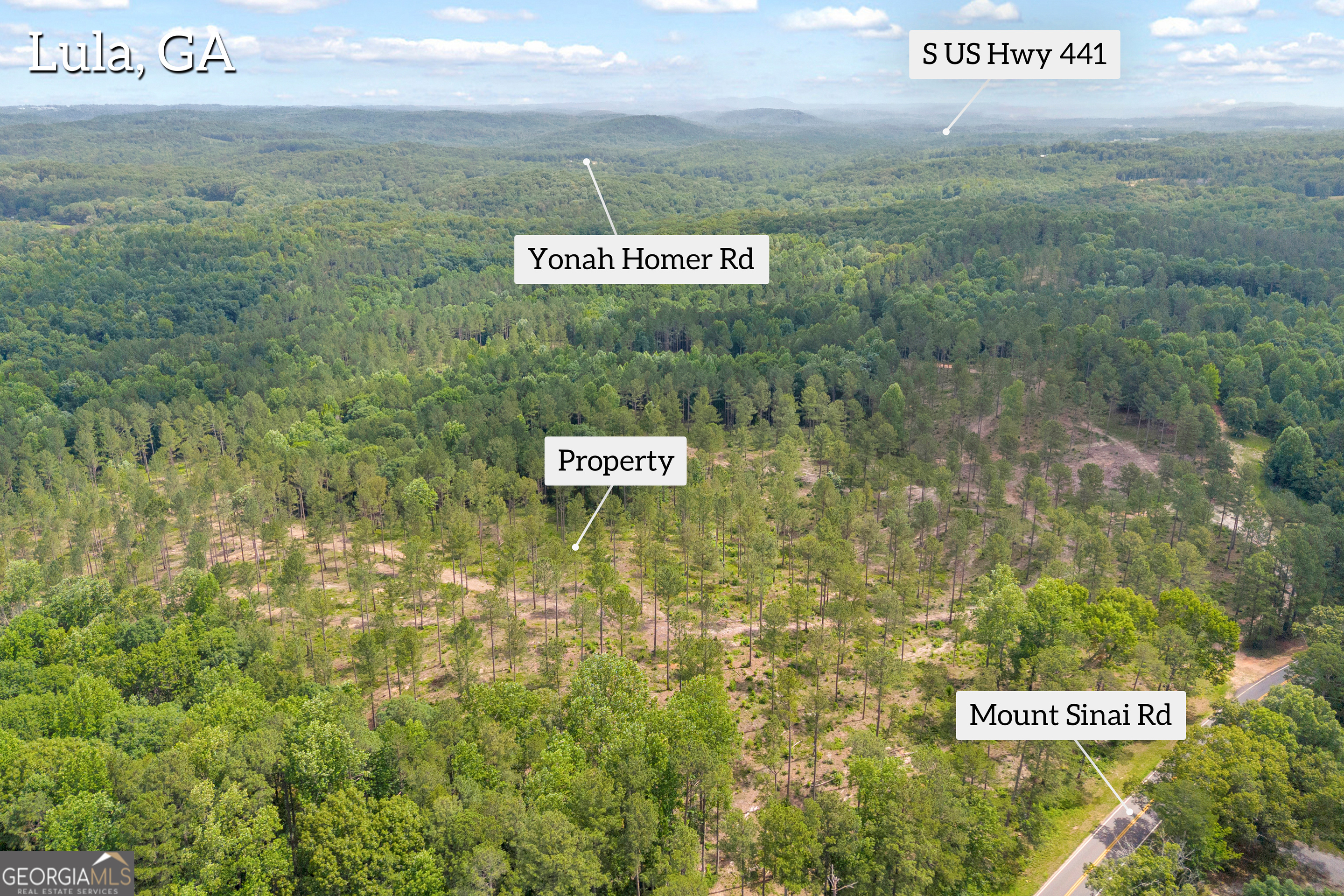 0 Mt Sinai Road, Unit LOT 1 Lula, GA 30554 - Photo 6 of 67