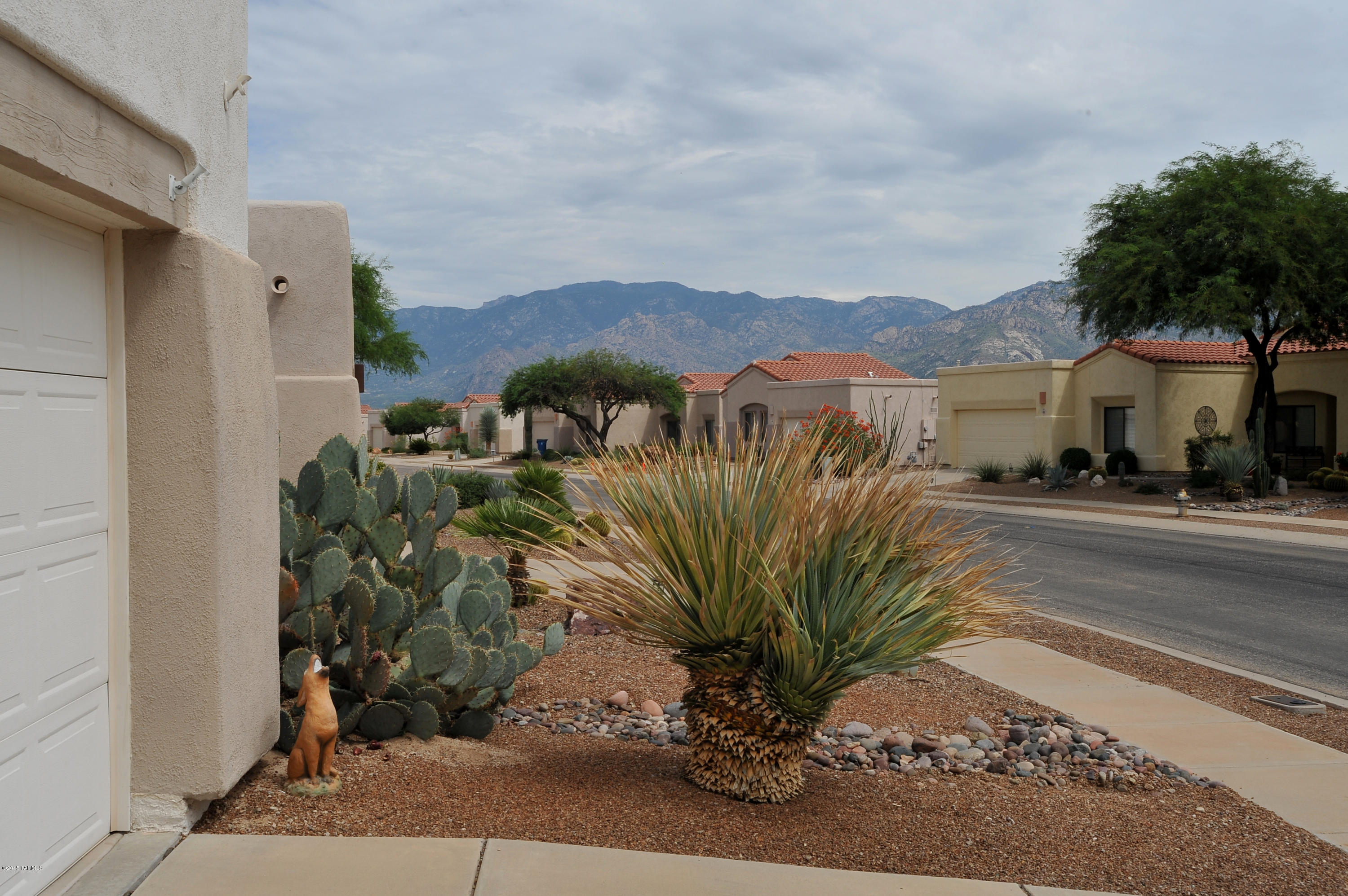 444 West Wheeler Road Tucson, AZ 85737 - Photo 38 of 38