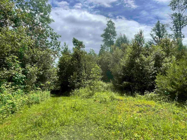 $165,000 | 0 Goose Green Road, Vershire, VT 05079