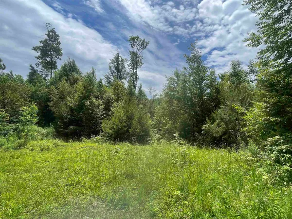 $165,000 | 0 Goose Green Road, Vershire, VT 05079