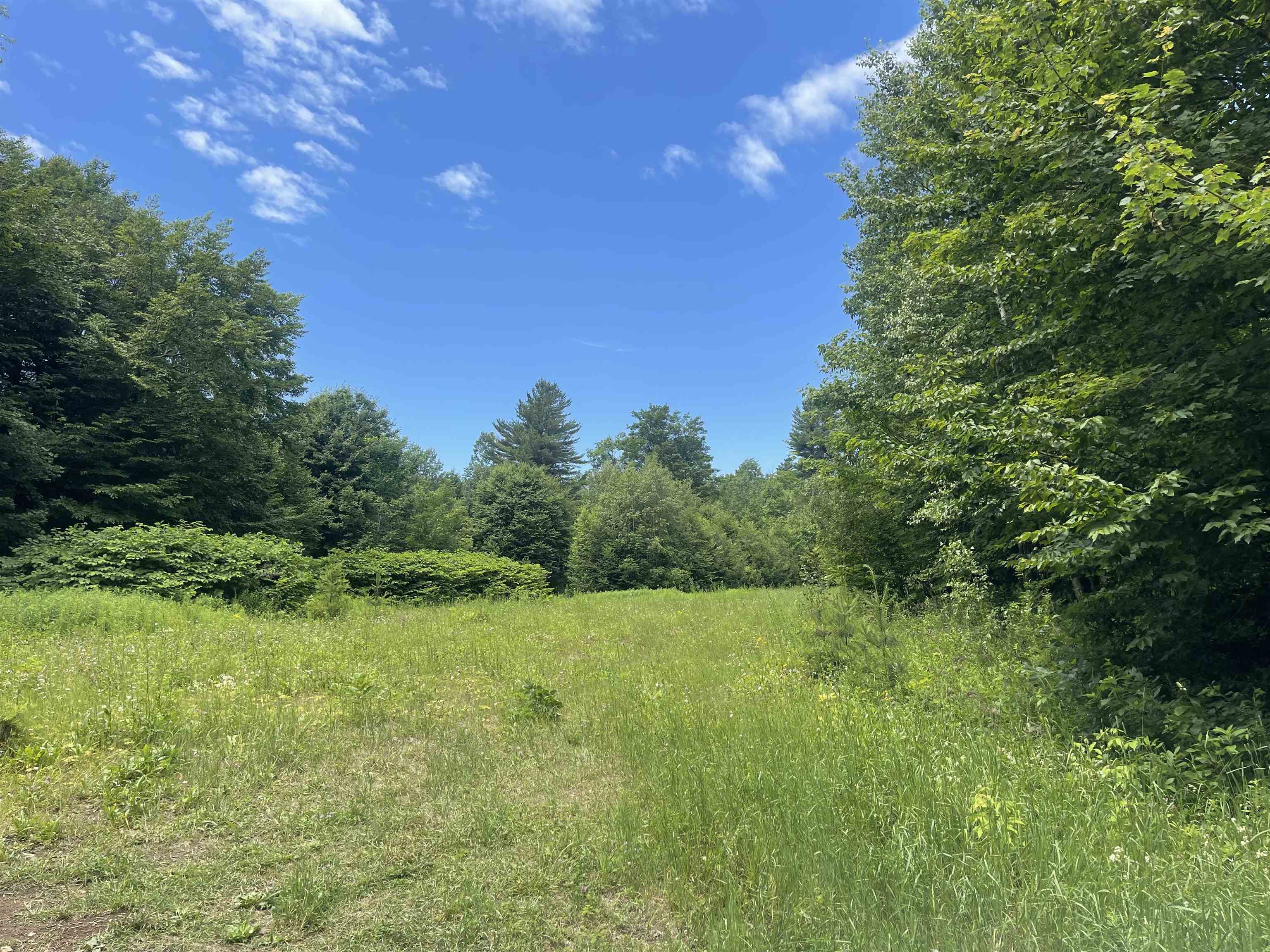 0 Goose Green Road Vershire, VT 05079 - Photo 13 of 15