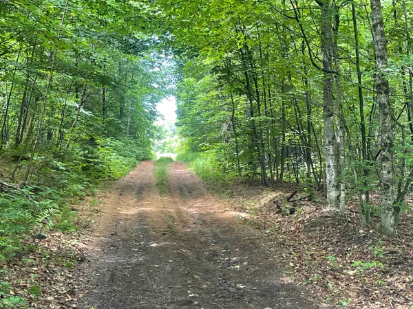 $165,000 | 0 Goose Green Road, Vershire, VT 05079