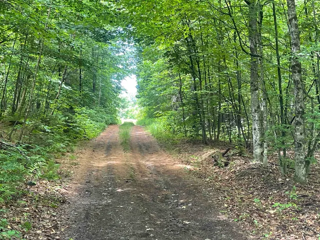 $165,000 | 0 Goose Green Road, Vershire, VT 05079