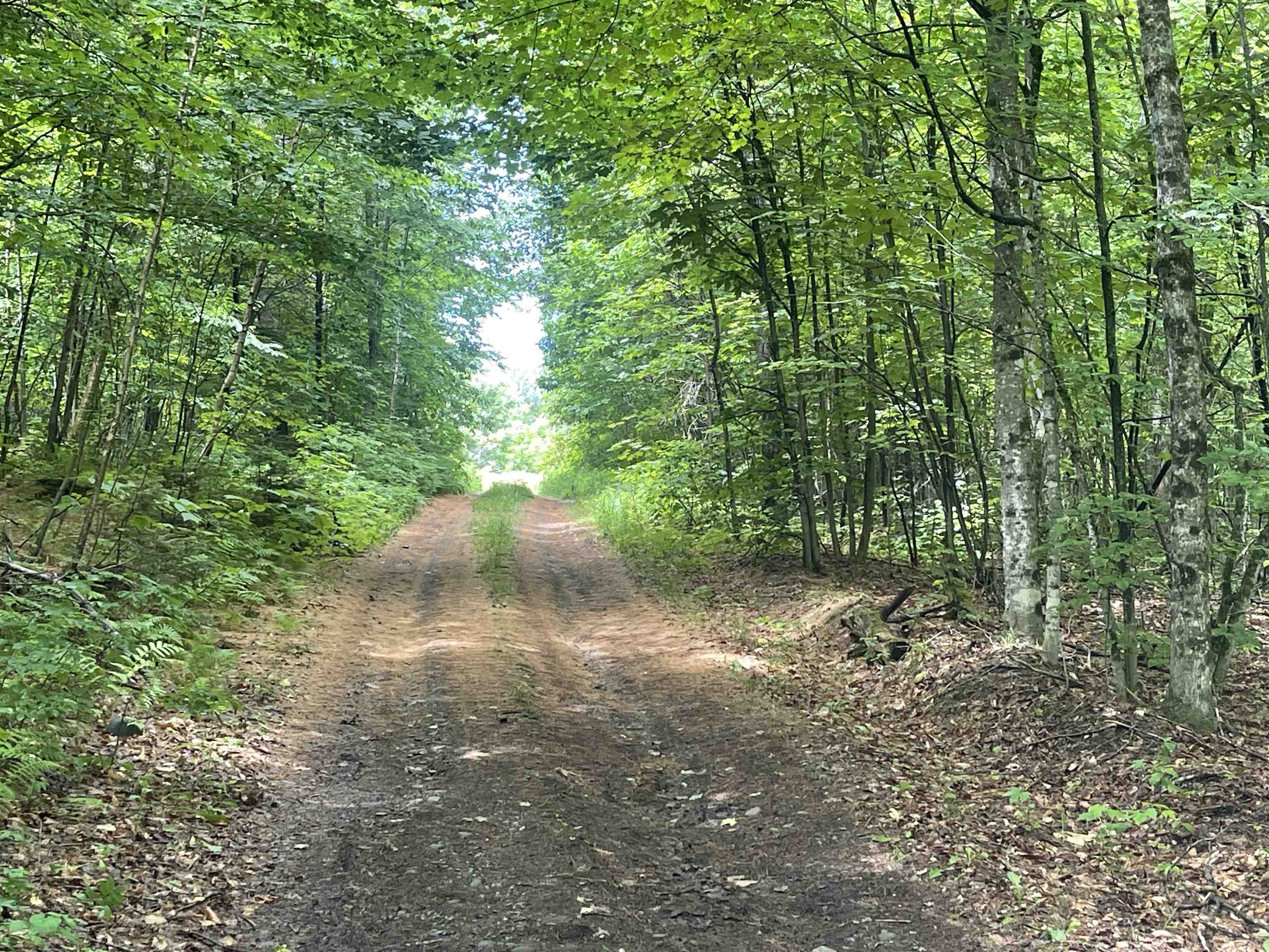 0 Goose Green Road Vershire, VT 05079 - Photo 14 of 15