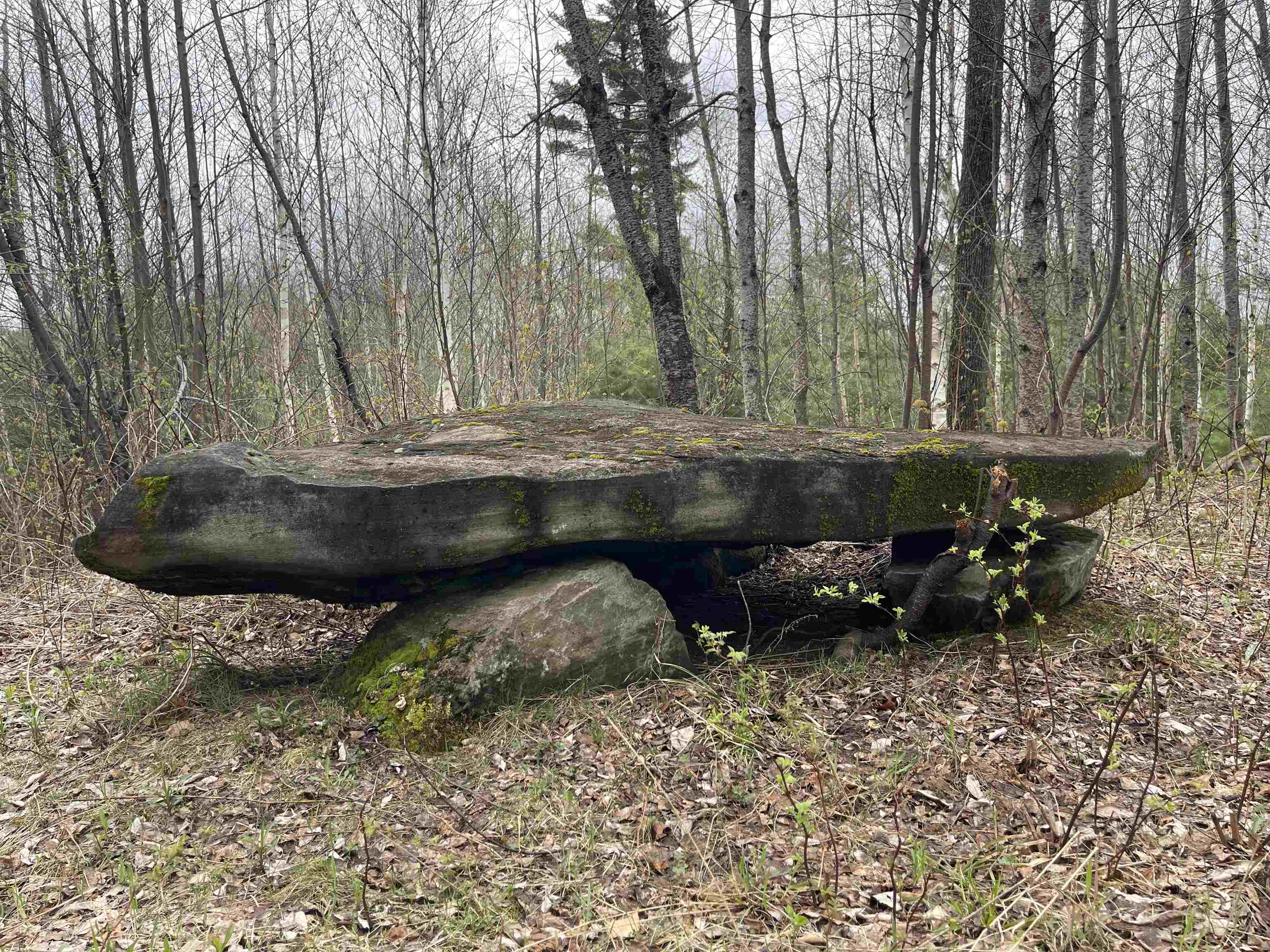 0 Goose Green Road Vershire, VT 05079 - Photo 15 of 15