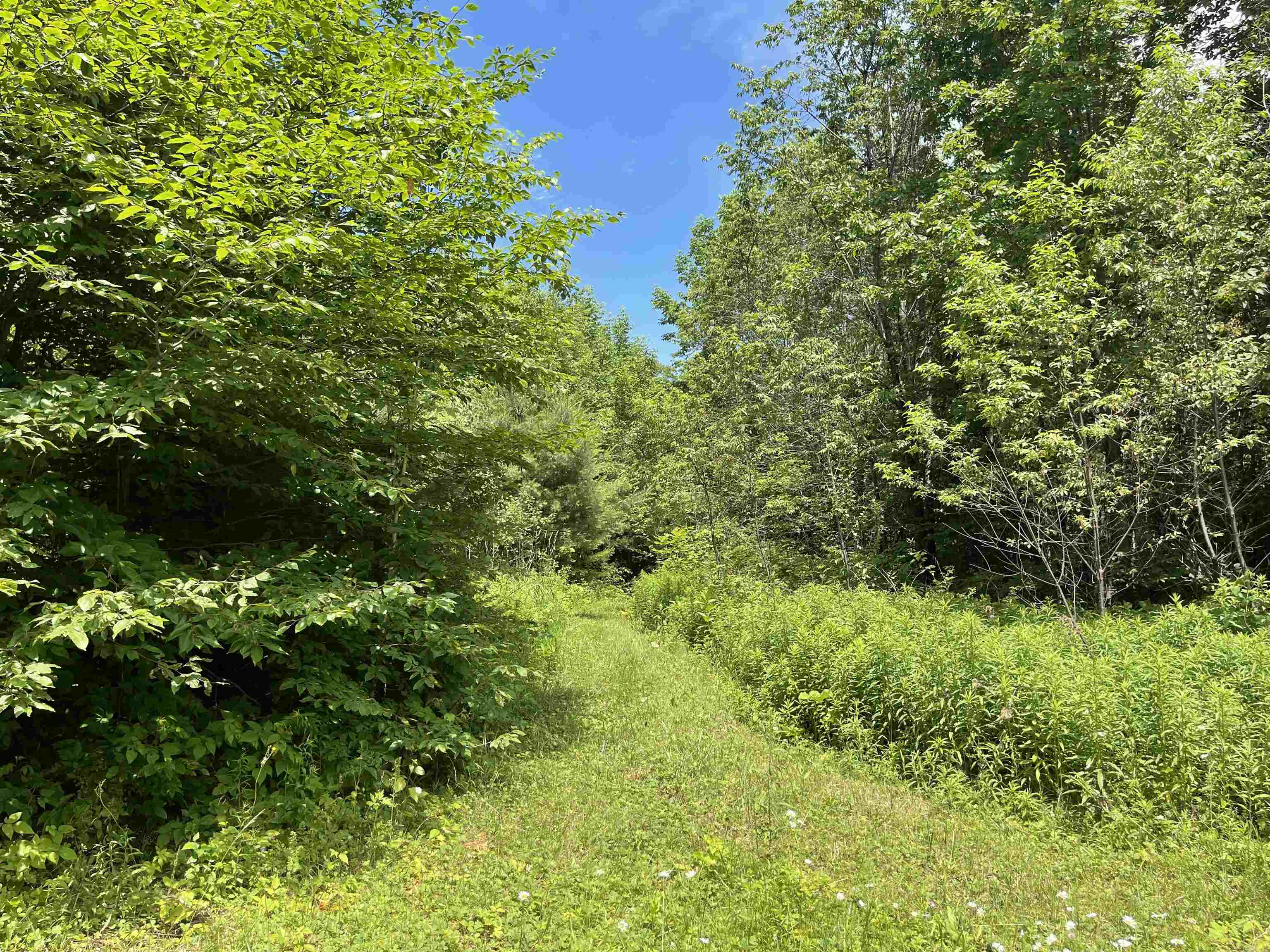 0 Goose Green Road Vershire, VT 05079 - Photo 4 of 15