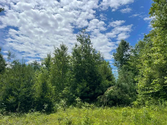 $165,000 | 0 Goose Green Road, Vershire, VT 05079