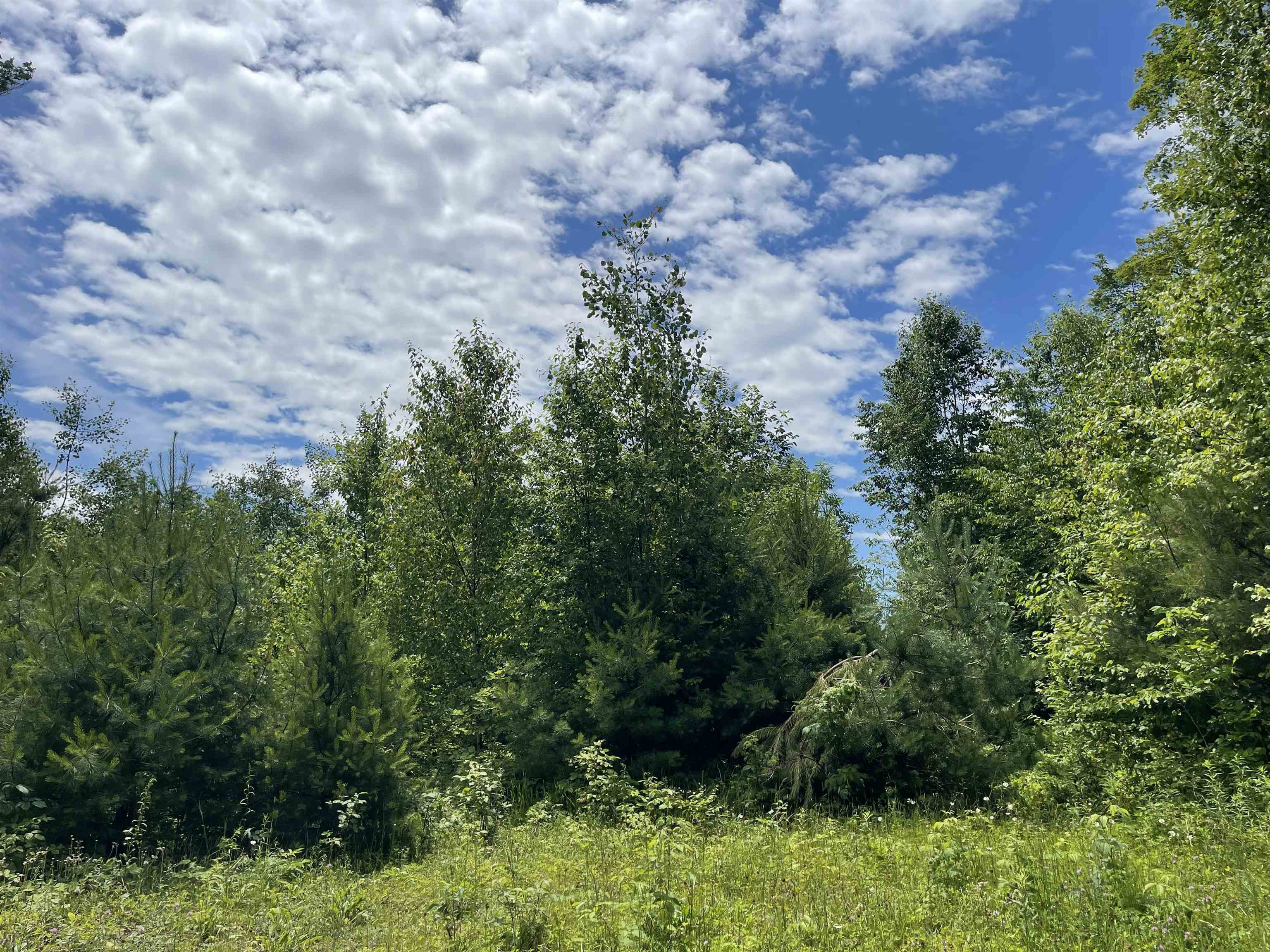 0 Goose Green Road Vershire, VT 05079 - Photo 5 of 15