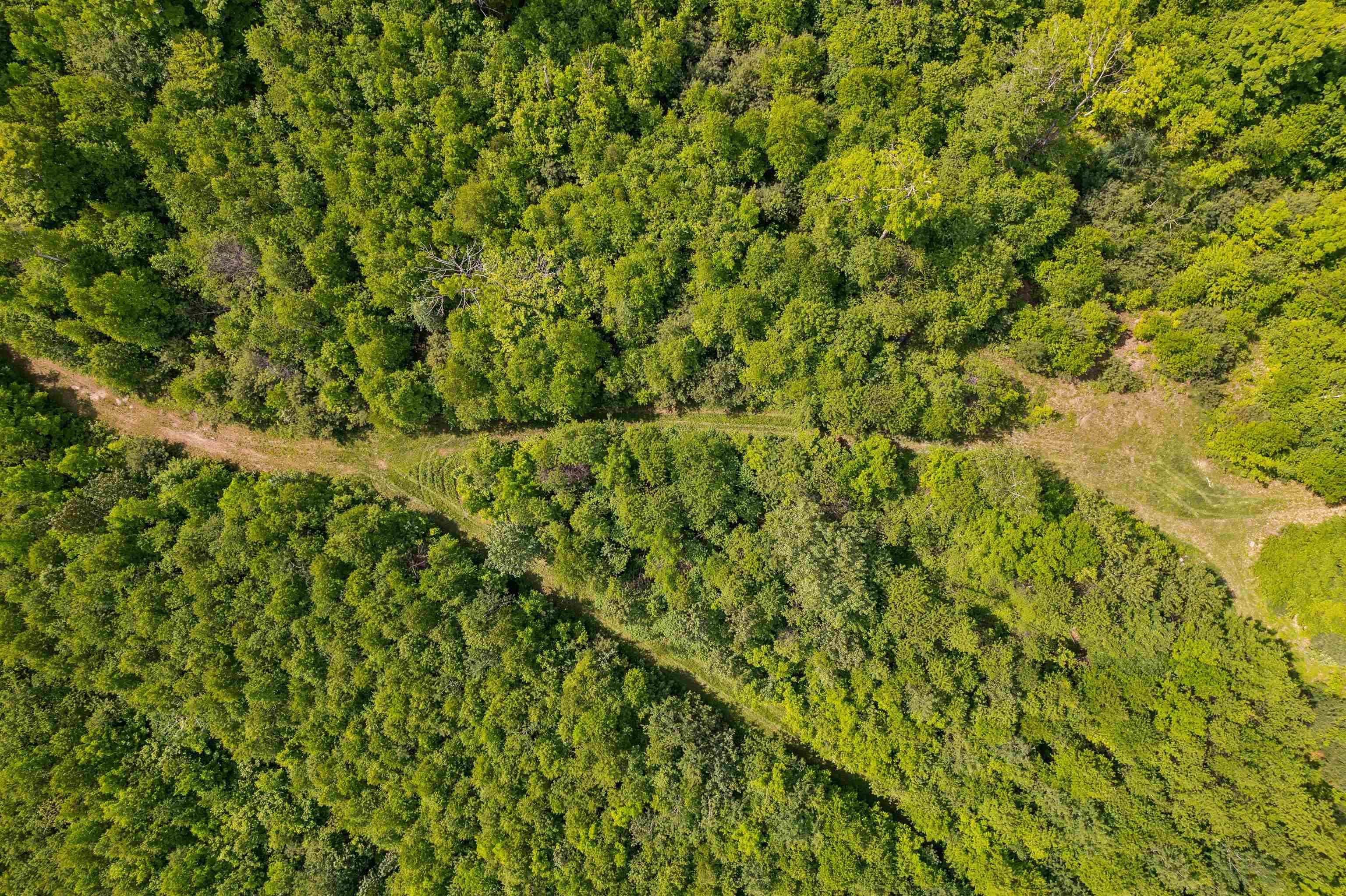 0 Goose Green Road Vershire, VT 05079 - Photo 6 of 15