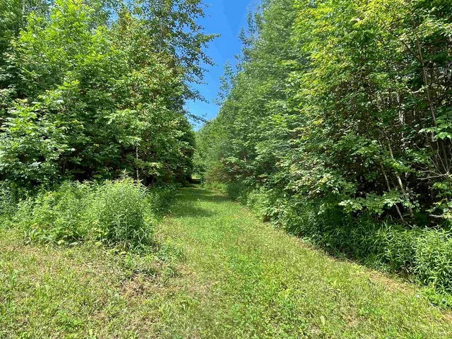 $165,000 | 0 Goose Green Road, Vershire, VT 05079