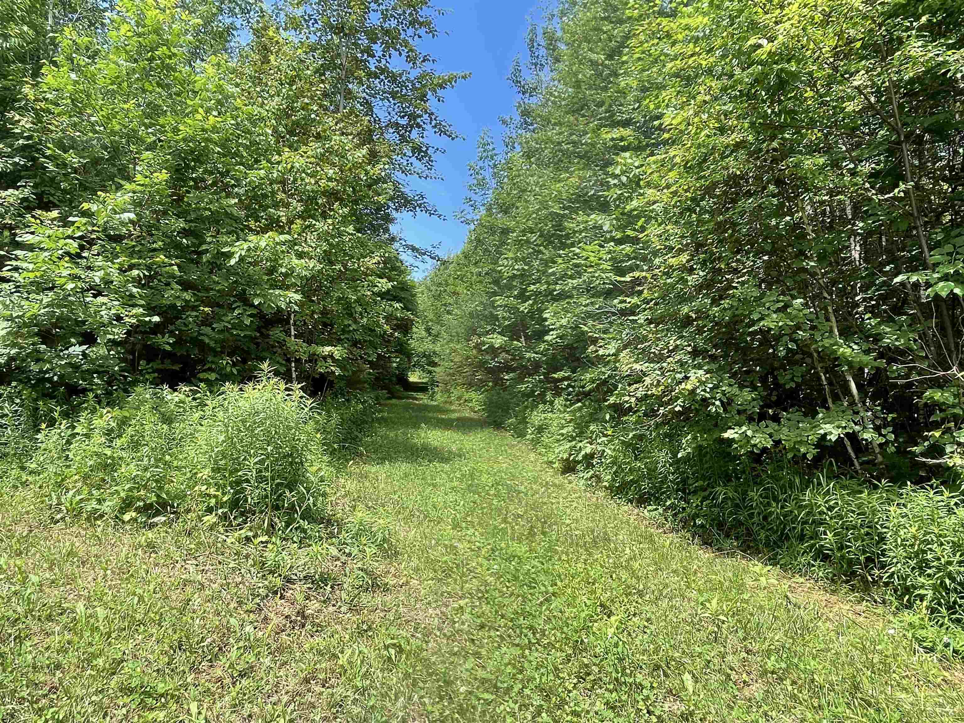 0 Goose Green Road Vershire, VT 05079 - Photo 7 of 15