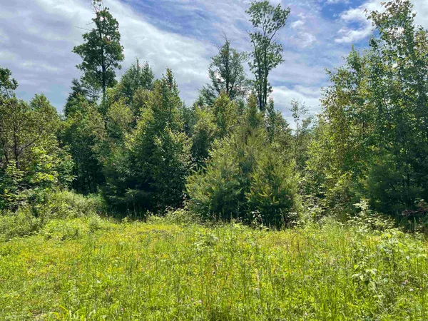 $165,000 | 0 Goose Green Road, Vershire, VT 05079