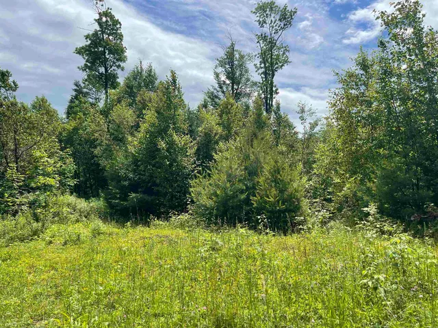 $165,000 | 0 Goose Green Road, Vershire, VT 05079