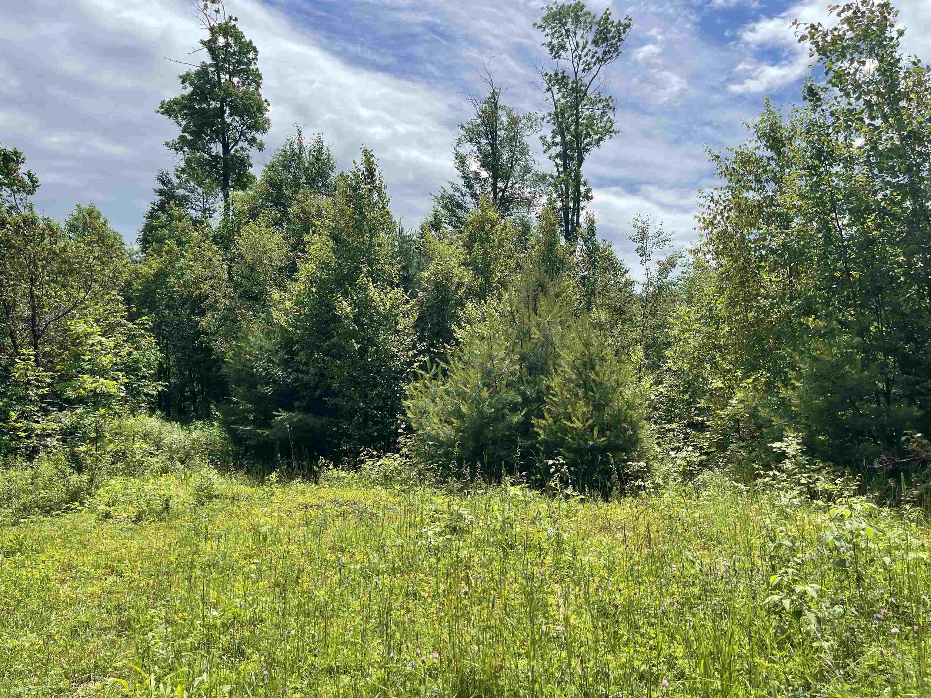 0 Goose Green Road Vershire, VT 05079 - Photo 8 of 15