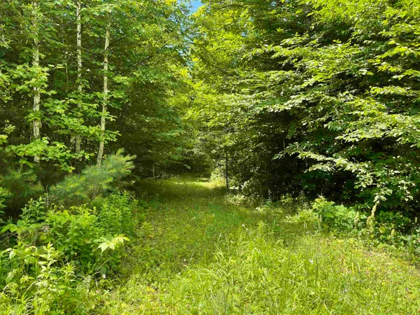 $165,000 | 0 Goose Green Road, Vershire, VT 05079