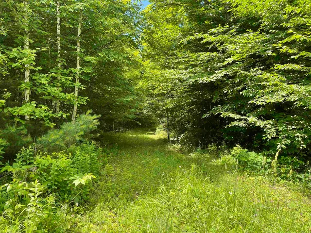 $165,000 | 0 Goose Green Road, Vershire, VT 05079